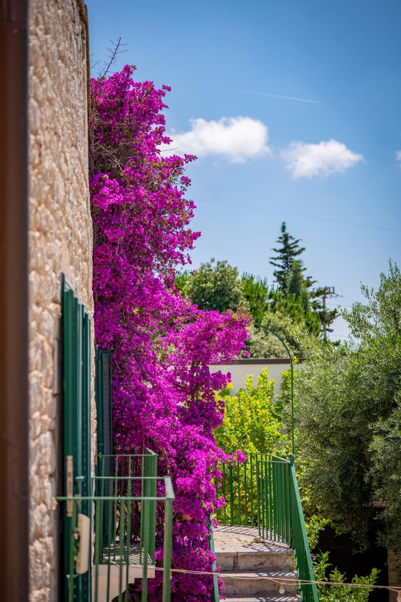 Masseria Montepaolo Dimora Di Charme Конверсано Екстериор снимка